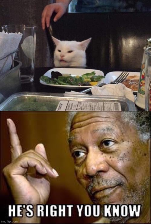 Smudge is always right | image tagged in salad cat,he's right ya know | made w/ Imgflip meme maker