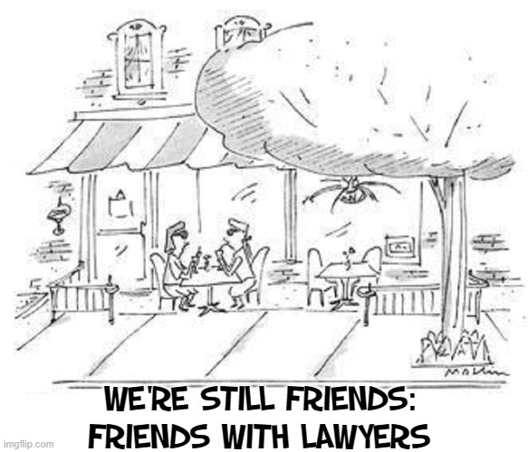 D-I-V-O-R-C-E | WE'RE STILL FRIENDS:
FRIENDS WITH LAWYERS | image tagged in vince vance,divorce,memes,comics/cartoons,lawyers,alimony | made w/ Imgflip meme maker