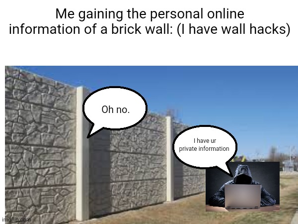 Stupidity | Me gaining the personal online information of a brick wall: (I have wall hacks); Oh no. I have ur private information | image tagged in walls | made w/ Imgflip meme maker