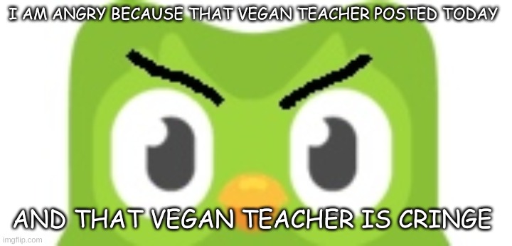 duolingo mad | I AM ANGRY BECAUSE THAT VEGAN TEACHER POSTED TODAY; AND THAT VEGAN TEACHER IS CRINGE | image tagged in duolingo mad | made w/ Imgflip meme maker