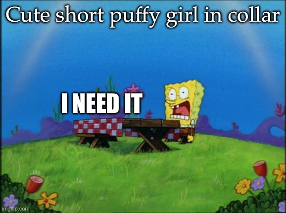 I need it | Cute short puffy girl in collar I NEED IT | image tagged in i need it | made w/ Imgflip meme maker