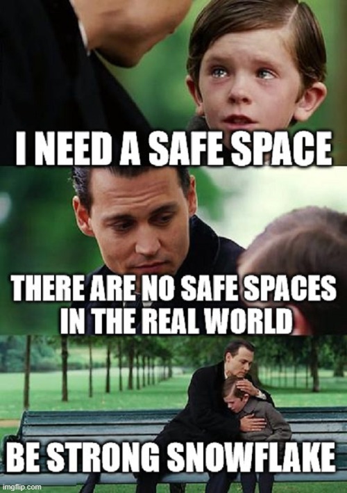 We waste time worrying about every sensitive ass's feelings | image tagged in vince vance,safe space,memes,overly sensitive,snowflakes,johnny depp | made w/ Imgflip meme maker