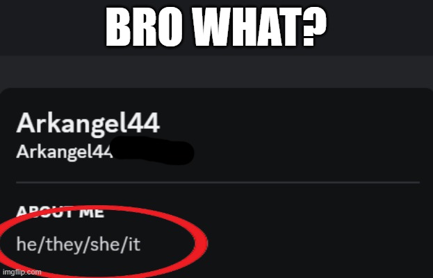 BRO WHAT? | made w/ Imgflip meme maker