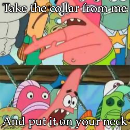Collar yourself | Take the collar from me And put it on your neck | image tagged in patrick put it over there,collar | made w/ Imgflip meme maker