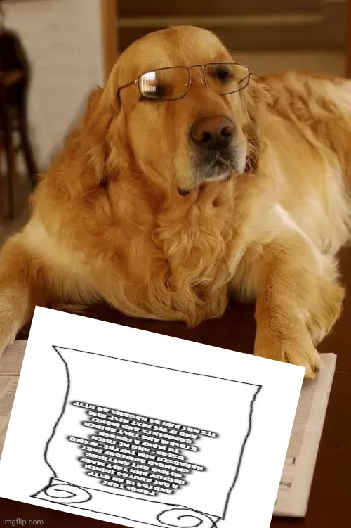 Dogs | image tagged in dogs,dog | made w/ Imgflip meme maker