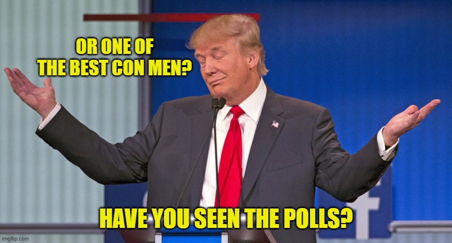 trump shrugging shoulders | OR ONE OF THE BEST CON MEN? HAVE YOU SEEN THE POLLS? | image tagged in trump shrugging shoulders | made w/ Imgflip meme maker