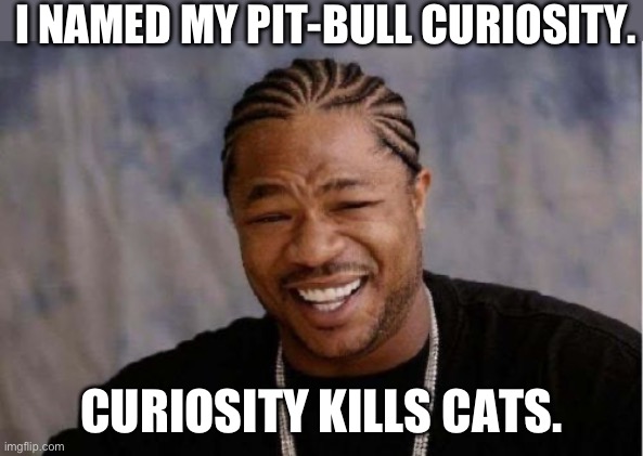 Curiosity | I NAMED MY PIT-BULL CURIOSITY. CURIOSITY KILLS CATS. | image tagged in memes,yo dawg heard you | made w/ Imgflip meme maker