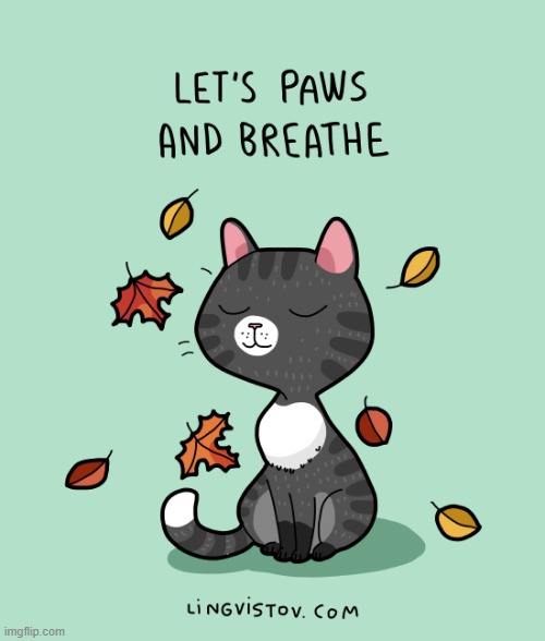 A Cat's Way Of Thinking | image tagged in memes,comics/cartoons,cats,wait a minute,and,breathe | made w/ Imgflip meme maker