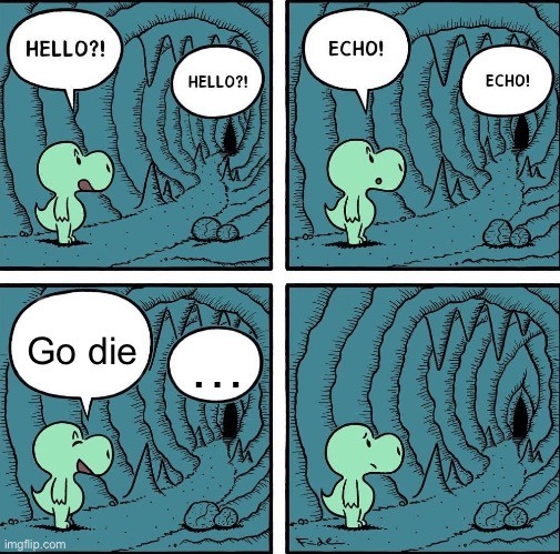 Bro died by this command | Go die; … | image tagged in echo,memes,dead,comics,death | made w/ Imgflip meme maker