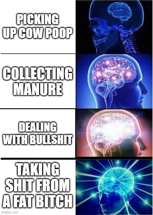 Expanding Brain Meme | PICKING UP COW POOP; COLLECTING MANURE; DEALING WITH BULLSHIT; TAKING SHIT FROM A FAT BITCH | image tagged in memes,expanding brain | made w/ Imgflip meme maker