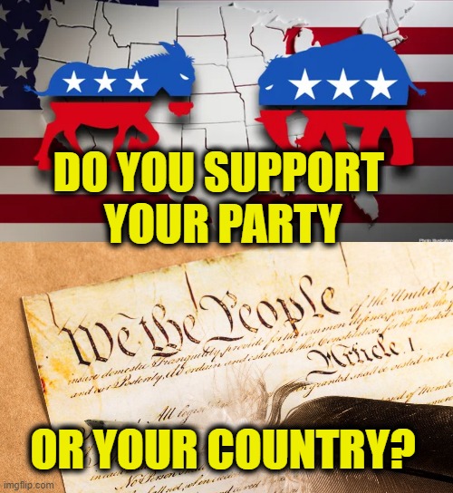 Can't Serve Two Masters | DO YOU SUPPORT 
YOUR PARTY; OR YOUR COUNTRY? | image tagged in usa | made w/ Imgflip meme maker