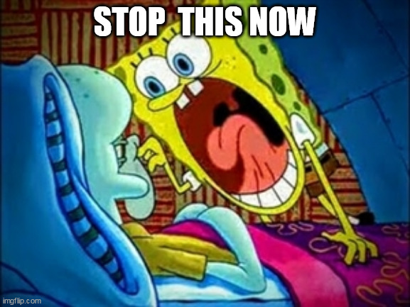 spongebob yelling | STOP  THIS NOW | image tagged in spongebob yelling | made w/ Imgflip meme maker