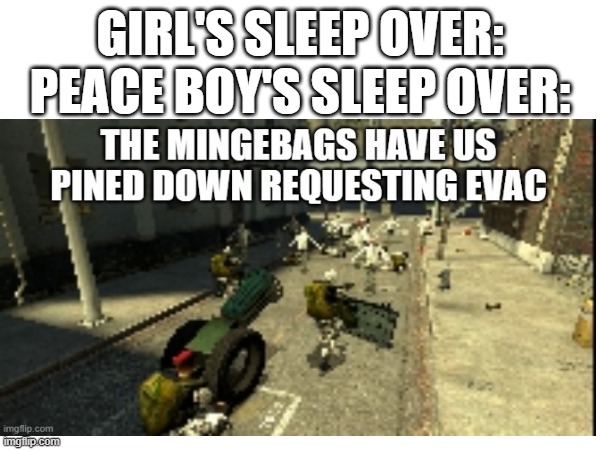 sleep over | GIRL'S SLEEP OVER: PEACE BOY'S SLEEP OVER: | image tagged in hgrunts suffer,boys vs girls | made w/ Imgflip meme maker