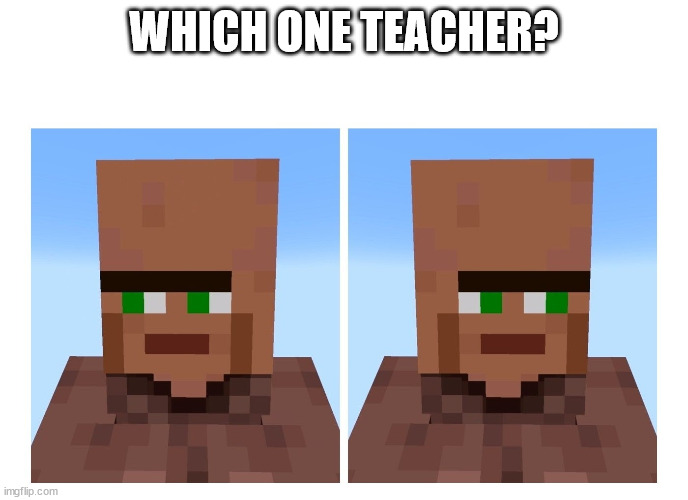Villager looking right and left | WHICH ONE TEACHER? | image tagged in villager looking right and left | made w/ Imgflip meme maker
