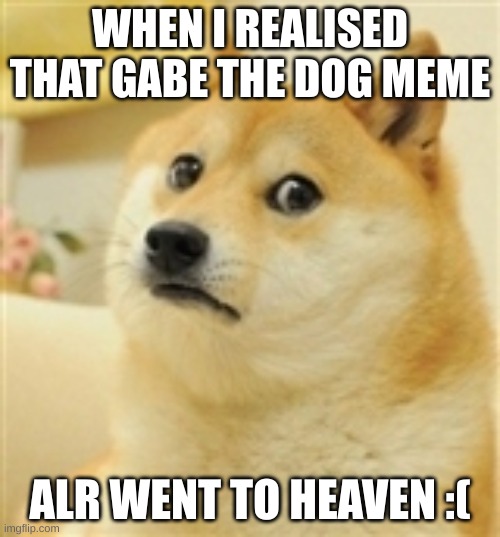 Sad Doge | WHEN I REALISED THAT GABE THE DOG MEME; ALR WENT TO HEAVEN :( | image tagged in sad doge,gabe the meme dog,went to heaven | made w/ Imgflip meme maker