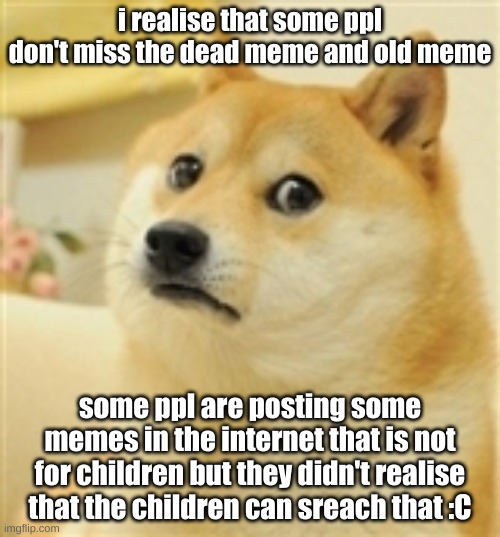 Sad Doge | i realise that some ppl don't miss the dead meme and old meme; some ppl are posting some memes in the internet that is not for children but they didn't realise that the children can sreach that :C | image tagged in sad doge,old memes,ppl forgot | made w/ Imgflip meme maker