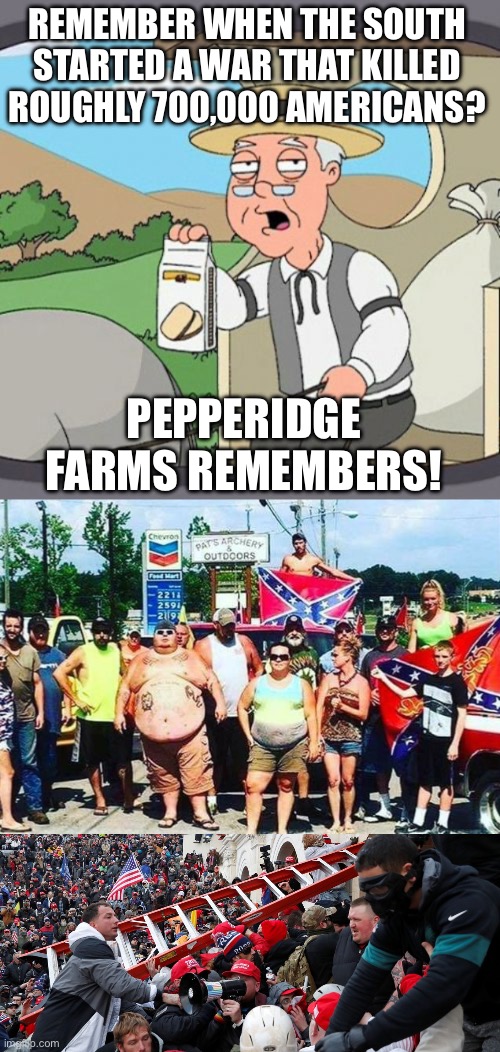REMEMBER WHEN THE SOUTH STARTED A WAR THAT KILLED ROUGHLY 700,000 AMERICANS? PEPPERIDGE FARMS REMEMBERS! | image tagged in memes,pepperidge farm remembers,trump voters redneck hillbilly cracker goober confederacy | made w/ Imgflip meme maker
