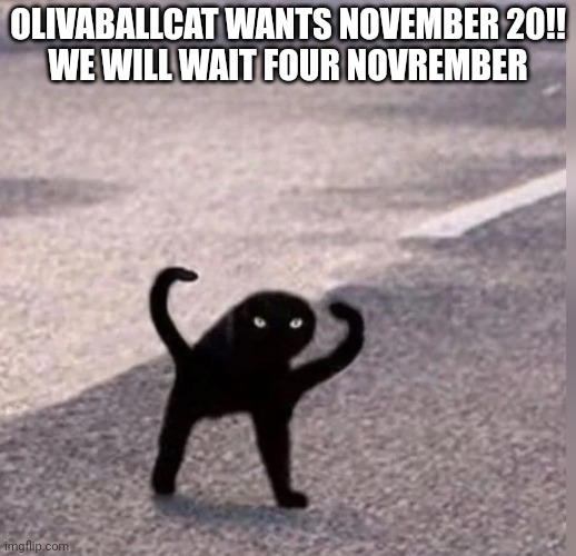 Cursed Cat | OLIVABALLCAT WANTS NOVEMBER 20!!
WE WILL WAIT FOUR NOVREMBER | image tagged in cursed cat | made w/ Imgflip meme maker