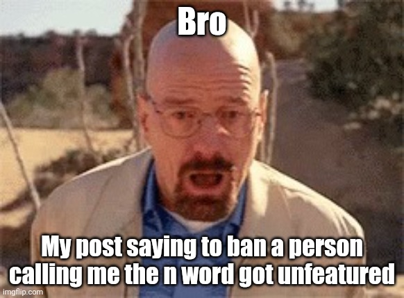 Walter White | Bro; My post saying to ban a person calling me the n word got unfeatured | image tagged in walter white | made w/ Imgflip meme maker