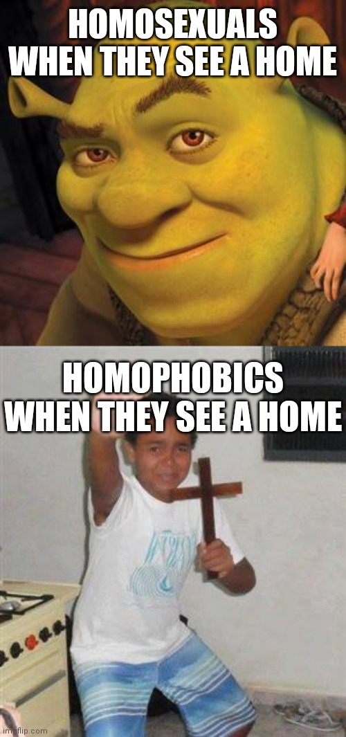 HOMOSEXUALS WHEN THEY SEE A HOME; HOMOPHOBICS WHEN THEY SEE A HOME | image tagged in shrek sexy face,scared kid | made w/ Imgflip meme maker