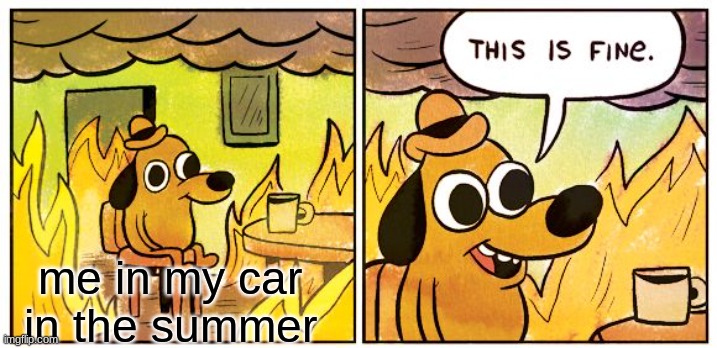 This Is Fine | me in my car in the summer | image tagged in memes,this is fine | made w/ Imgflip meme maker