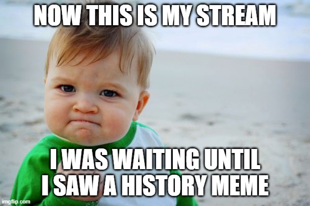 I FINALY FOUND A HISORY STREAM | NOW THIS IS MY STREAM; I WAS WAITING UNTIL I SAW A HISTORY MEME | image tagged in memes,success kid original | made w/ Imgflip meme maker