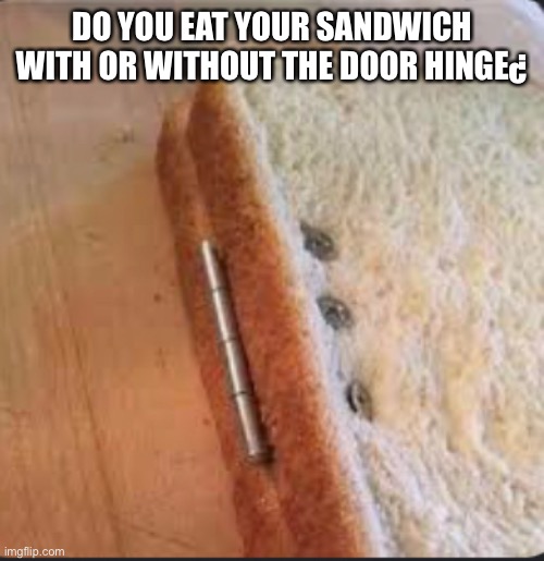 With | DO YOU EAT YOUR SANDWICH WITH OR WITHOUT THE DOOR HINGE¿ | image tagged in fun,memes,door,food,sandwich | made w/ Imgflip meme maker