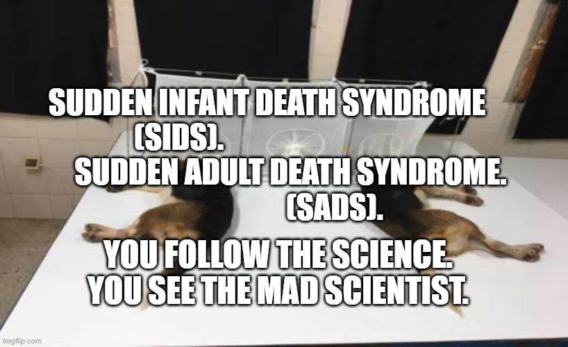 Fauci Beagles | SUDDEN INFANT DEATH SYNDROME (SIDS).                                       SUDDEN ADULT DEATH SYNDROME.                           (SADS). YOU FOLLOW THE SCIENCE. YOU SEE THE MAD SCIENTIST. | image tagged in fauci beagles | made w/ Imgflip meme maker