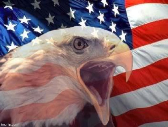 Patriotic Eagle | image tagged in patriotic eagle | made w/ Imgflip meme maker