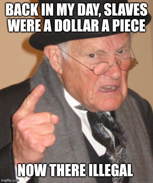 Not sure if dis is alloud | BACK IN MY DAY, SLAVES WERE A DOLLAR A PIECE; NOW THERE ILLEGAL | image tagged in memes,back in my day | made w/ Imgflip meme maker