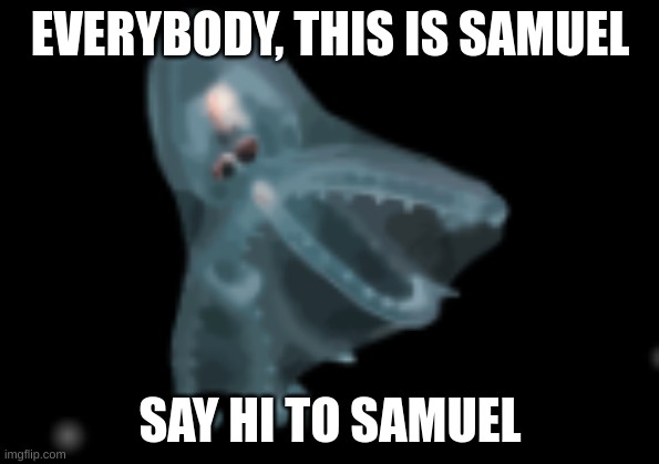 e | EVERYBODY, THIS IS SAMUEL; SAY HI TO SAMUEL | image tagged in e,why are you reading the tags,stahp | made w/ Imgflip meme maker