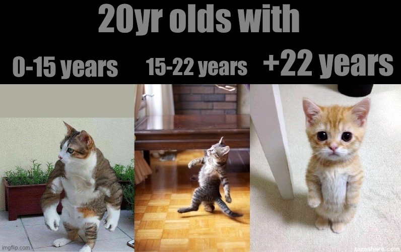 20yr olds with; +22 years; 15-22 years; 0-15 years | image tagged in strong cat,memes,cool cat stroll,cute cat | made w/ Imgflip meme maker