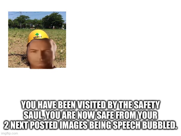 YOU HAVE BEEN VISITED BY THE SAFETY SAUL. YOU ARE NOW SAFE FROM YOUR 2 NEXT POSTED IMAGES BEING SPEECH BUBBLED. | made w/ Imgflip meme maker