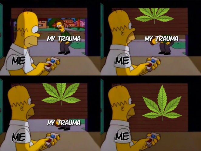 puff puff pass the lexipro | image tagged in the simpsons,therapy,trauma,weed,smoke weed everyday | made w/ Imgflip meme maker