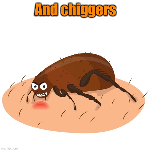 Chiggers Bites | And chiggers | image tagged in chiggers bites | made w/ Imgflip meme maker