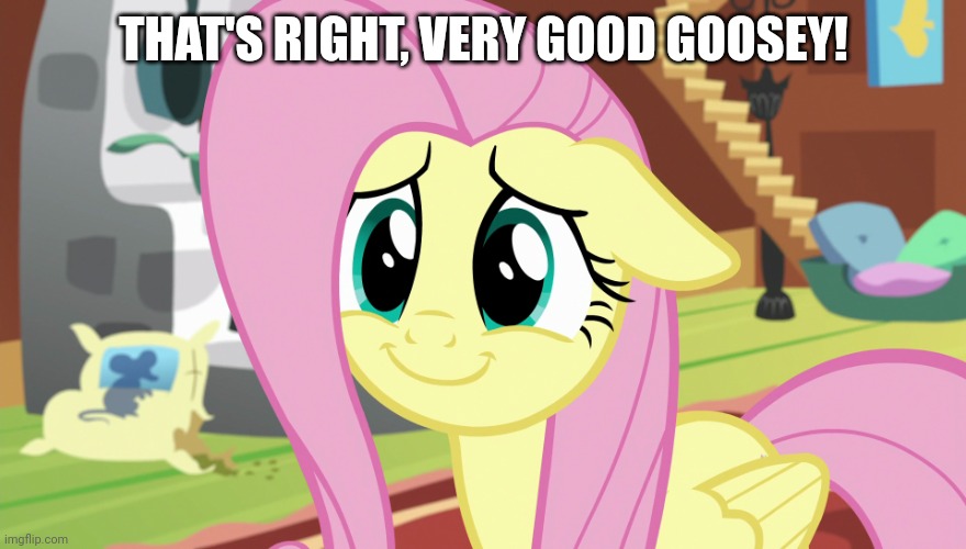 Shyabetes (MLP) | THAT'S RIGHT, VERY GOOD GOOSEY! | image tagged in shyabetes mlp | made w/ Imgflip meme maker