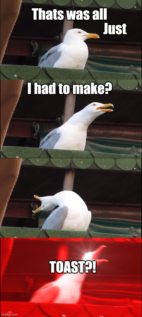 Inhaling Seagull Meme | Thats was all I had to make? Just TOAST?! | image tagged in memes,inhaling seagull | made w/ Imgflip meme maker