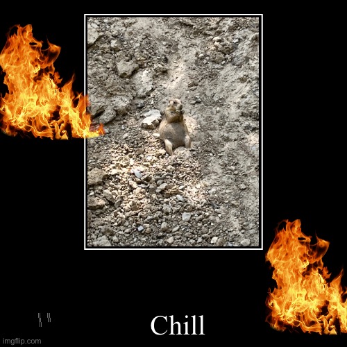 Chill | | image tagged in funny,demotivationals | made w/ Imgflip demotivational maker