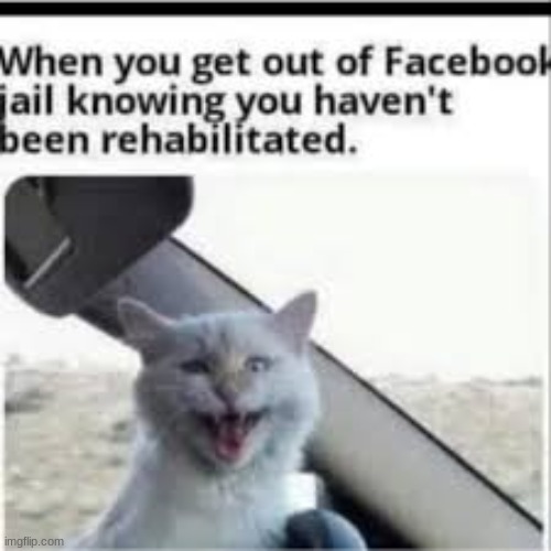 I don't use Facebook but people that do might understand like my mother :/ | image tagged in dank memes,dark humor | made w/ Imgflip meme maker