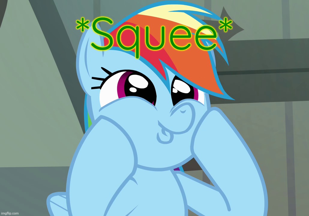 Dashface (MLP) | *Squee* | image tagged in dashface mlp | made w/ Imgflip meme maker