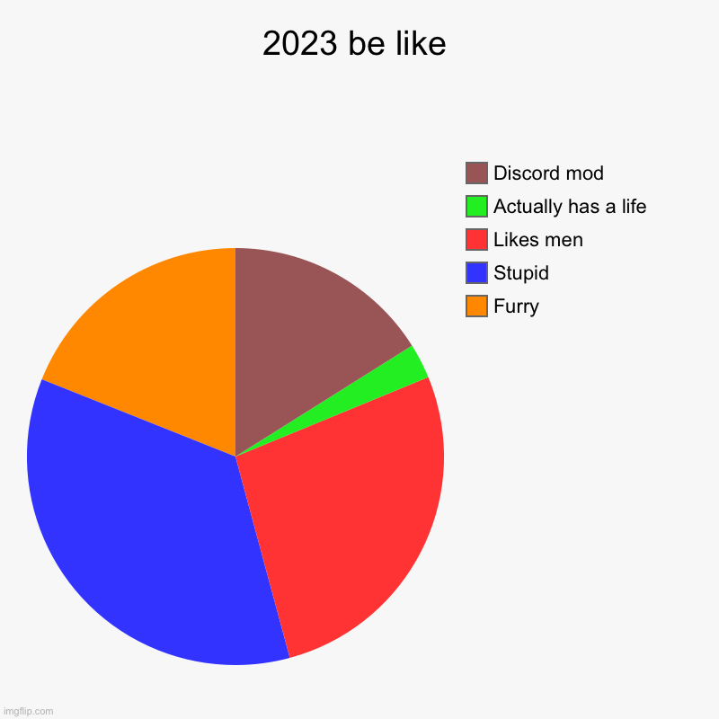 2023 be like | Furry, Stupid, Likes men, Actually has a life, Discord mod | image tagged in charts,pie charts | made w/ Imgflip chart maker