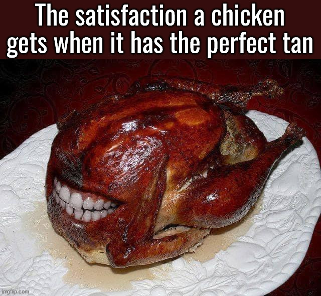 The satisfaction a chicken gets when it has the perfect tan | made w/ Imgflip meme maker