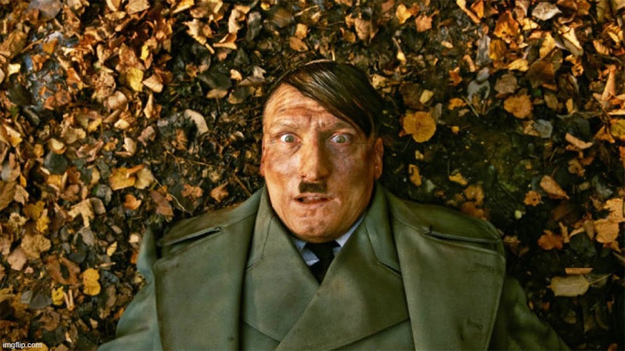 Other Hitler where he become a celebrity in modern world and didn't do anything bad because he likes the everything about German | made w/ Imgflip meme maker