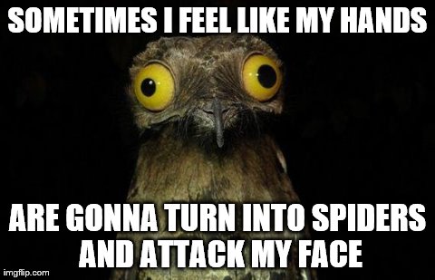 Weird Stuff I Do Potoo | SOMETIMES I FEEL LIKE MY HANDS ARE GONNA TURN INTO SPIDERS AND ATTACK MY FACE | image tagged in memes,weird stuff i do potoo | made w/ Imgflip meme maker