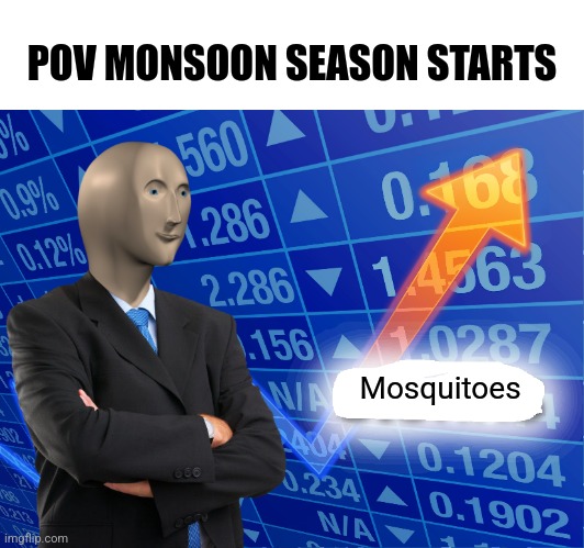 Bzzzzzzzzzzzzzzzz | POV MONSOON SEASON STARTS; Mosquitoes | image tagged in empty stonks | made w/ Imgflip meme maker