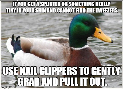 Actual Advice Mallard | IF YOU GET A SPLINTER OR SOMETHING REALLY TINY IN YOUR SKIN AND CANNOT FIND THE TWEEZERS USE NAIL CLIPPERS TO GENTLY GRAB AND PULL IT OUT. | image tagged in memes,actual advice mallard,AdviceAnimals | made w/ Imgflip meme maker