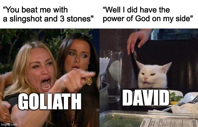 Cristian meme of the day #1 | “You beat me with a slingshot and 3 stones"; “Well I did have the power of God on my side"; DAVID; GOLIATH | image tagged in memes,woman yelling at cat,bible | made w/ Imgflip meme maker