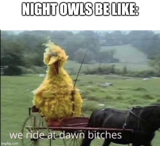We ride at dawn bitches | NIGHT OWLS BE LIKE: | image tagged in we ride at dawn bitches | made w/ Imgflip meme maker