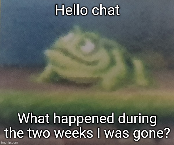 Frogoon | Hello chat; What happened during the two weeks I was gone? | image tagged in frogoon | made w/ Imgflip meme maker