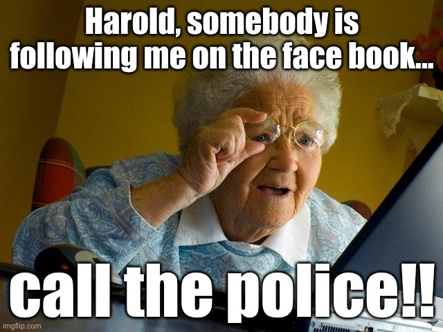 Grandma Finds The Internet | Harold, somebody is following me on the face book... call the police!! | image tagged in memes,grandma finds the internet,funny,facebook | made w/ Imgflip meme maker